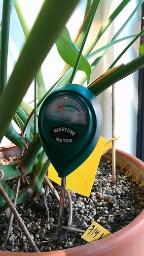 4.7K views · 45 reactions | Moisture meters can be a great tool for...