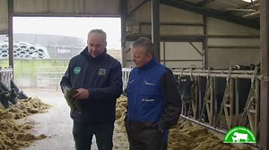 Trevor Hanly from Progressive Genetics discusses the performance of Larry Hannon’s herd and runs through the dairy and beef bull selection 🐄 | Progressive Genetics