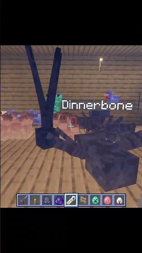 Name Any Mob 'Dinnerbone' in Minecraft... 🙃