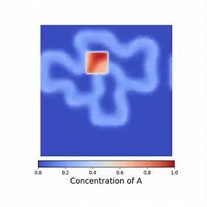 2D Reaction Diffusion model