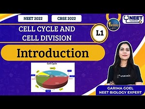 Phoenix 2.0: Biology Most Important Video for NEET 2025 | Unacademy NEET Toppers | Udaan