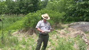 16K views · 917 reactions | We mark the 158th Anniversary of the Battle of Gettysburg with this Codori Thicket (Plum Run) Real Time program. Note: This series was originally recorded in 2020. | Gettysburg National Military Park | Facebook