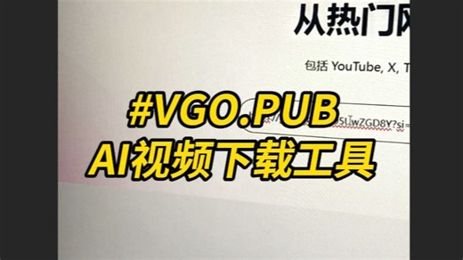全网高清视频下载AI工具，8K视频下载神器，油管、推特、B站等通通都支持下载高清视频