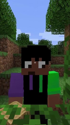 Minecraft But I can't say the letter