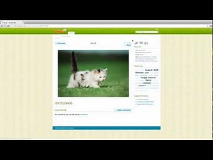 Instant Apps with Softaculous