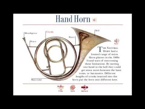 A to Z of Musical Instruments: H