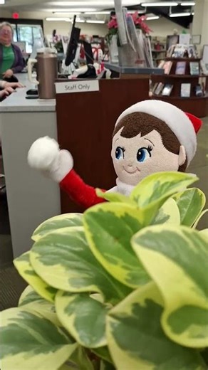 CCPL Elf on the Shelf