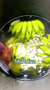 How to make bananas yellow and ripen slower 🌿🌿🌿