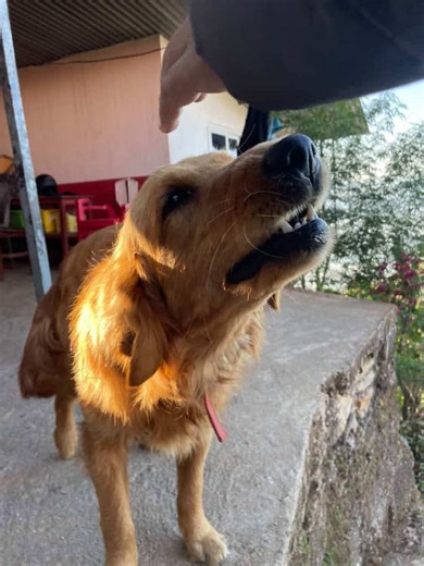 user.32124555 (@user.32124555)’s videos with Kalank (Title Track) - Pritam & Arijit Singh