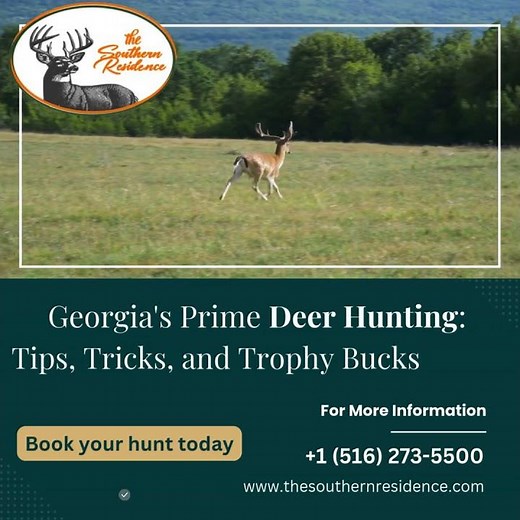 Georgia's Prime Deer Hunting Season: Tips, Tricks, and Trophy Bucks Await!- The Southern Residence