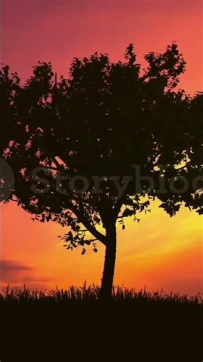 Relaxing Music Happy sound #meditation sleep# night # good life#