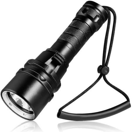 Diving Torch, Scuba Diving Light Rechargeable, Underwater Flashlight Dive Torch, 2000 Lume - Walmart.ca