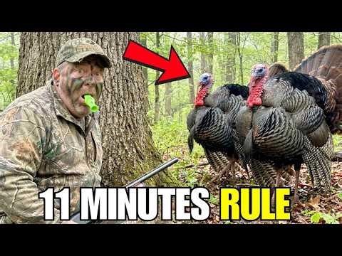 When a Gobbling Tom Suddenly Goes Silent, Take These 7 Steps — Never Leave the Woods Empty-Handed