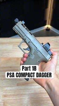 Showing you EVERY GUN- Part 18 PSA COMPACT DAGGER