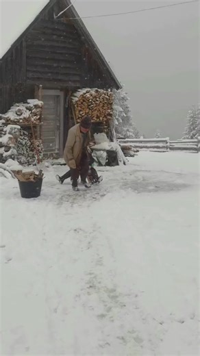 690K views · 10K reactions | Dragostea bunicilor 﫶 | Andrei Buda | Facebook