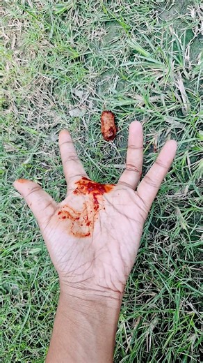 Whoa, check out these crazy magic tricks! They're not for kids, but they're hilarious.