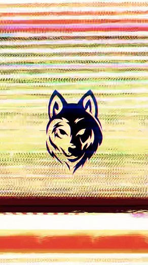 MaskedWolf on TikTok