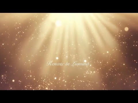 Renasc în Lumină – Manifestul Inimii | Meditație vizuală pentru reîntoarcerea la esență