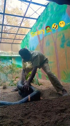 Darna mat...🧟🫢🐍🐍 #shortvideo #youtubeshorts #scary