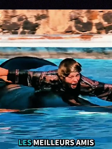 قصة صداقة صبي مع أوركا