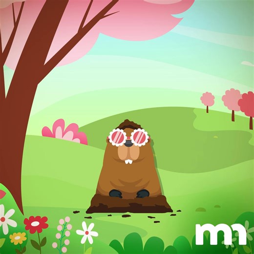 Whether the groundhog predicts six more weeks of winter or six weeks until spring, we want you to see the most out of your income tax return! Be sure to visit our website today to learn more about tax resources and credits available for this tax season! https://www.revenue.state.mn.us/ | Minnesota Department of Revenue