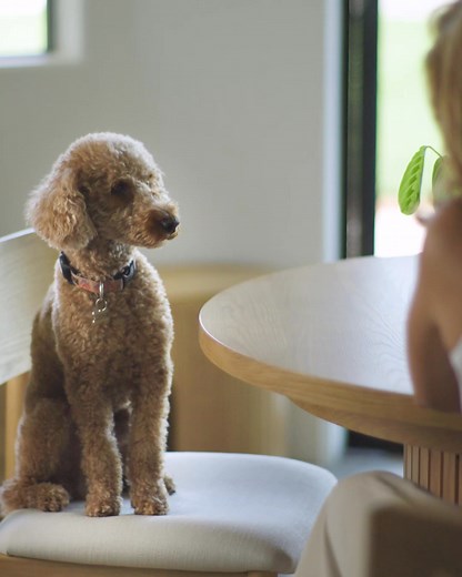 Okay you guys… I HAVE to share this with you. 🤍 Our dining room is tiny and with a big family it always felt impossible to fit everyone. But since we got the Transformer Round Table, it’s been a total game changer. It looks beautiful day-to-day, and when we need extra space… it expands in seconds so we can seat up to TEN people. 🙌 Here’s why I’m obsessed: 🪄 Expands from 4 to 10 seats instantly 🏡 Space-saving design for smaller rooms 🎉 Perfect for holidays & family gatherings 💪 Strong enoug