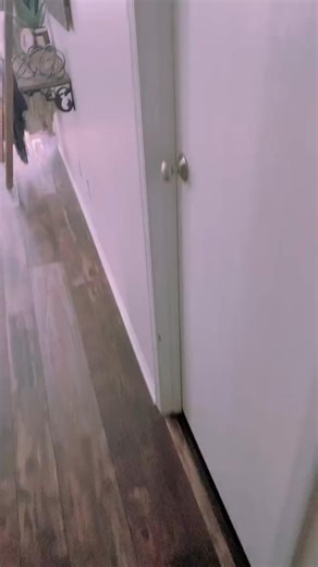 Getting Eliza up in the morning part 1#73 | Hey Eliza