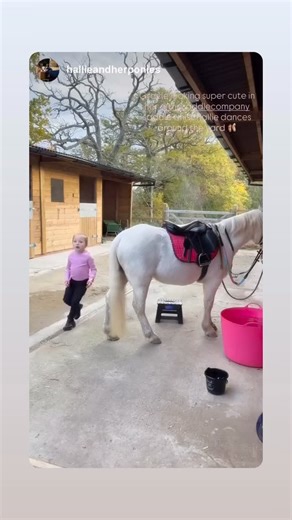Another happy little lady with her new Saddle Company Saddle. We have to give this 10/10 for cuteness ❤️ Thanks again to Catherine at Jigsaw Saddles for fitting her beautiful little saddle 😊 | The Saddle Company