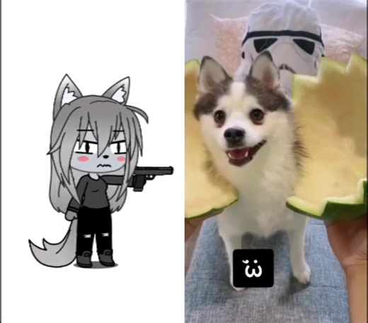 poor dog ;( #roblox #piggyroblox #piggy2 #hastag #foryou #piggy #wolfy #wolfypiggy #whyimlazy (i change wolfy again (오 ㅅ 오') sorry)