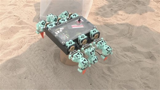 Case Western Reserve University students test robot crabs in Lake Erie