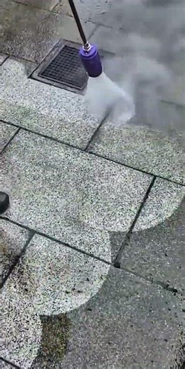 High Pressure Hose Moss Cleaning on Paving Blocks Process 🌿 #shorts #cleaning