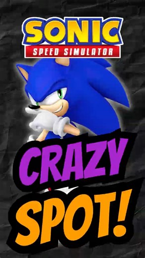 Did You Know About This INSANE Secret Spot? (Sonic Speed Simulator)