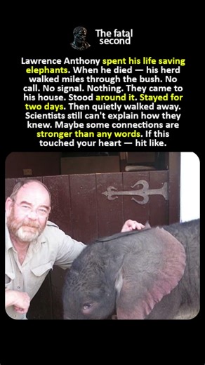 They Came to Say Goodbye 🐘💔