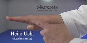 4 Strikes Choku Zuki, Teisho, Heito And Shuto From Shizentai