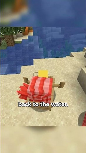 Nautilus in Minecraft Boat