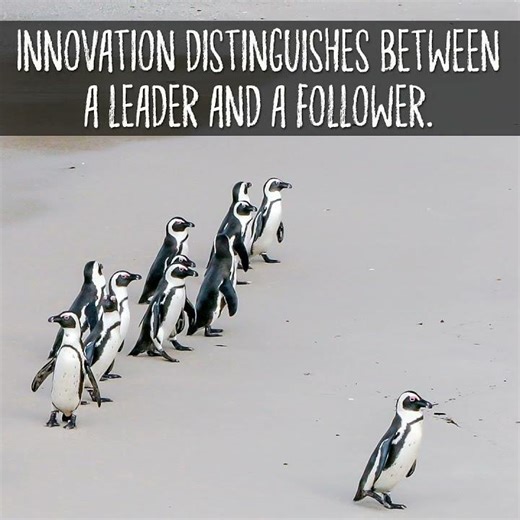 Create.Don’t copy.#Innovation#Leadership#BeDifferent#SuccessMindset#ThinkBig#Motivation#FutureLeader