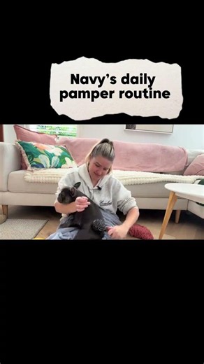 Traumatised Foster Dog learns to be loved. #puppy #dog #fosterdog #rescuedogs #dogmom