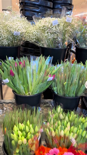 Tulips are Back in Season!