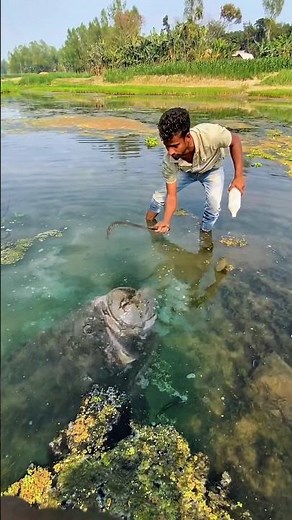 Secret Technique to Catch Big Grouper in a Lake! 🔥#fishing #fishing #grouper