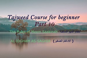 AL-IDGHAM AS-SAGHIR - QuranMyWay