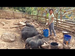 The pig farming life of an unfortunate woman