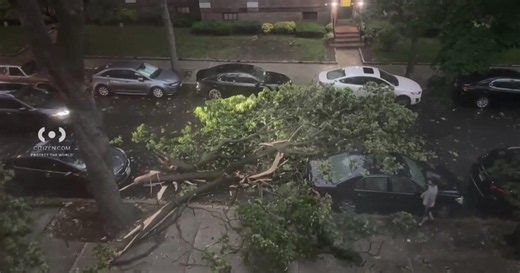 Storms down trees, cause damage across Tri-State Area