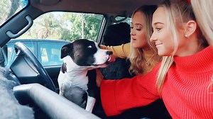 Twins Swap Drive Thru Prank Revealed!