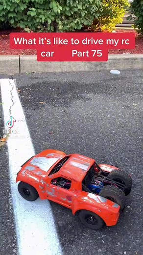 Petting the Playful RC Mini Car Tiger