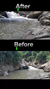 The Giant Snake 🐍 is not real 🎬😱 #Editing #Tutorial #CAPCUT #hmoob | Tub Thaiv Vfx