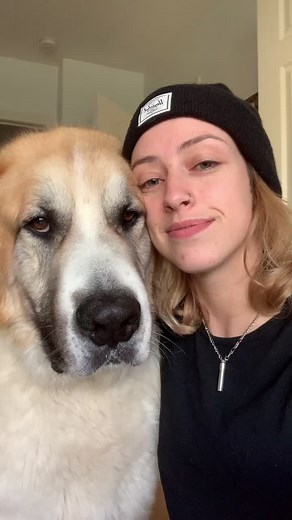 Funny Moments That Will Make You Laugh Out Loud