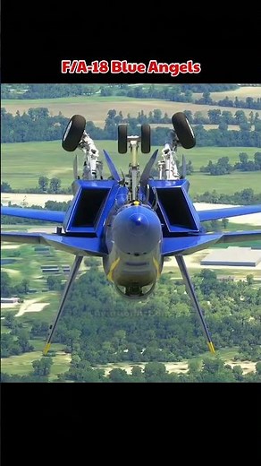 F/A-18 gear down mid-inversion #aviation #military