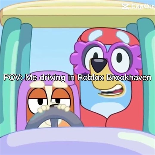 POV: driving in Roblox brookheavan