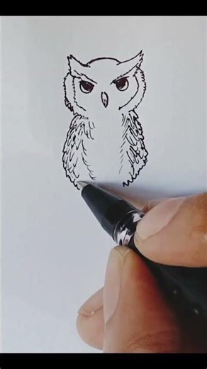 Draw a Cute Owl in 30 Seconds 🦉✨ | #Shorts