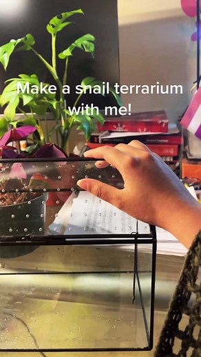 DIY Snail Terrarium Tutorial